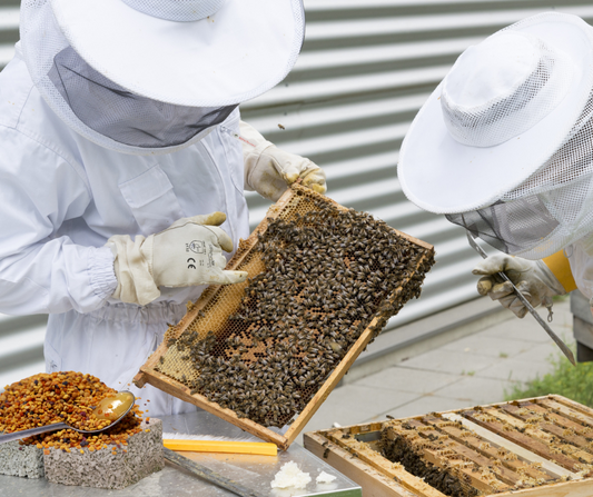 5 Recettes Naturelles Inspirées des Abeilles Santé pour Affronter la Saison Froide