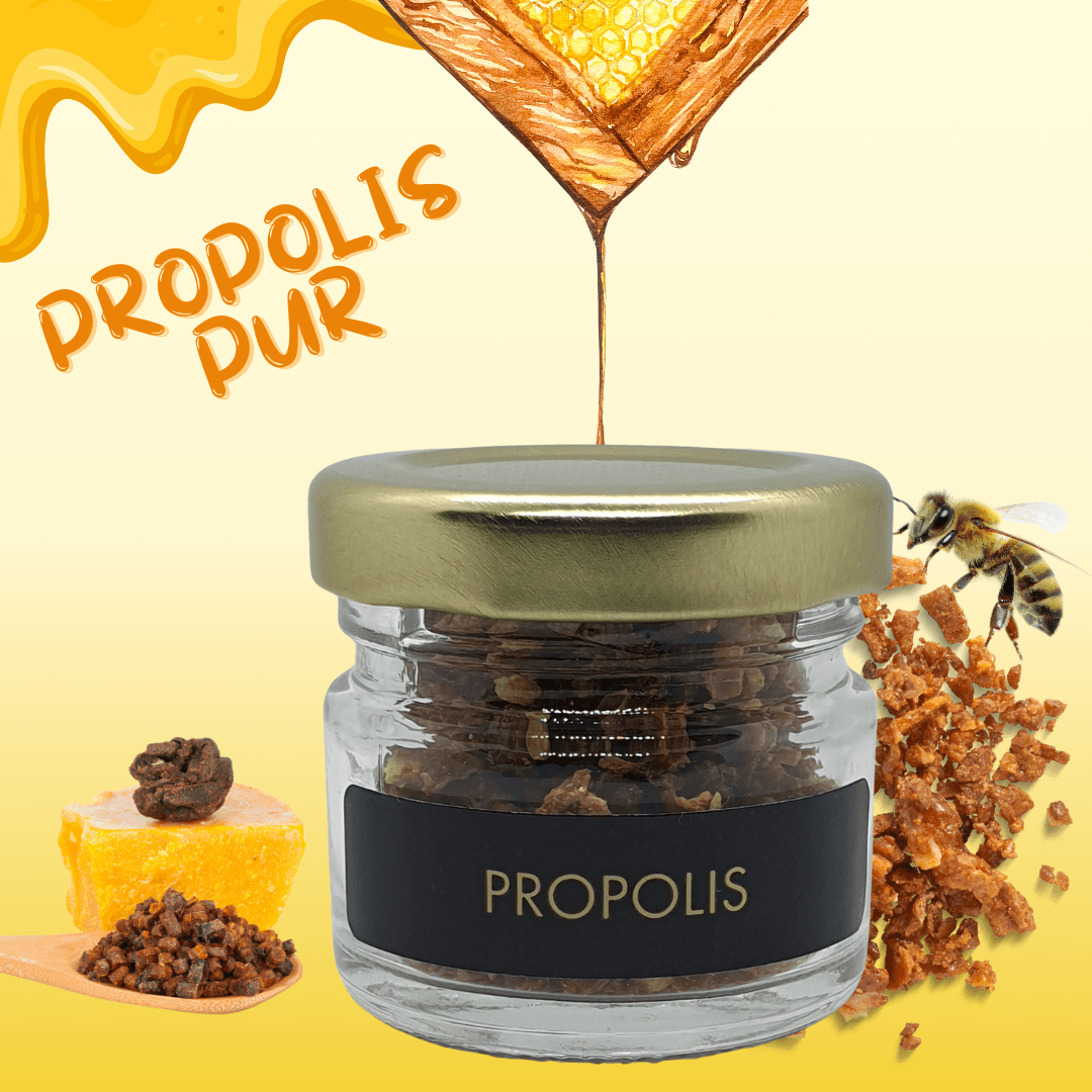 Propolis en grains - Bioremedes